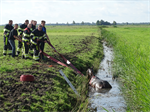 Prio 2 Dier te Water Paard Dykhuzen Gerkesklooster